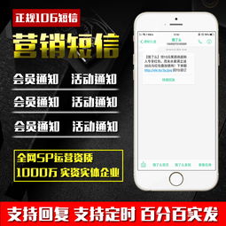 全方位解析106短信服務(wù) 從網(wǎng)站到定制接口的多元化應(yīng)用方案